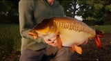 Fishing Sim World: Pro Tour – Giant Carp Pack