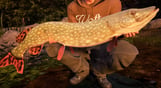Fishing Sim World: Pro Tour – Jezioro Bestii