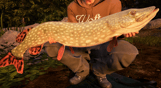 Fishing Sim World: Quad Lake Pass