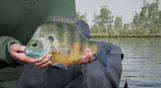 Fishing Sim World: Pro Tour – Lake Williams