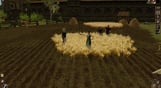 The Guild 2 Renaissance