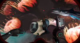 Subnautica: Below Zero