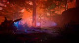 The Fabled Woods
