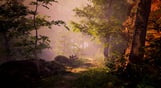 The Fabled Woods