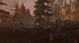Through the Woods: Digital Collector's Edition