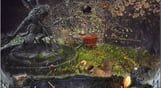 Mystery Castle: The Mirror's Secret