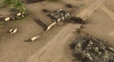 Theatre Of War 2: Africa 1943