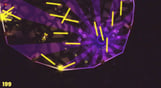 Laser Disco Defenders