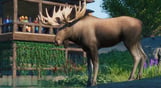 Planet Zoo: North America Animal Pack