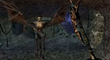The Elder Scrolls III: Morrowind Game of the Year Edition