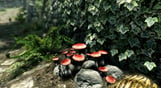 The Elder Scrolls V : Skyrim - Special Edition
