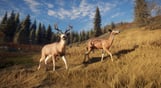 theHunter: Call of the Wild