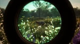 theHunter: Call of the Wild - Mississippi Acres Preserve