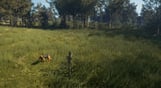 theHunter: Call of the Wild - Bloodhound