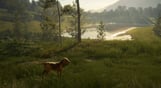 theHunter: Call of the Wild - Bloodhound
