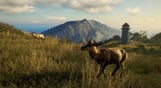 theHunter: Call of the Wild - Te Awaroa National Park