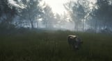 theHunter: Call of the Wild - Te Awaroa National Park