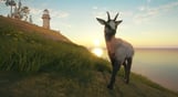 theHunter: Call of the Wild - Te Awaroa National Park