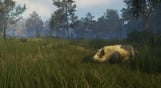 theHunter: Call of the Wild - Te Awaroa National Park