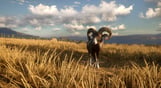 theHunter: Call of the Wild - Cuatro Colinas Game Reserve