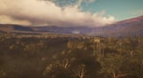 theHunter: Call of the Wild - Parque Fernando