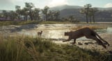 theHunter: Call of the Wild - Parque Fernando