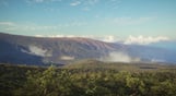 theHunter: Call of the Wild - Parque Fernando