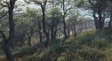 theHunter: Call of the Wild - Parque Fernando