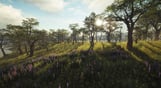 theHunter: Call of the Wild - Parque Fernando