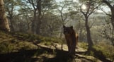 theHunter: Call of the Wild - Parque Fernando