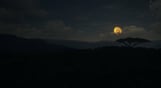 theHunter: Call of the Wild - Vurhonga Savanna