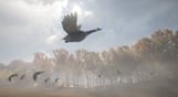 theHunter: Call of the Wild - Wild Goose Chase Gear