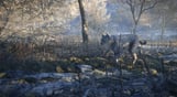 theHunter: Call of the Wild - Medved-Taiga