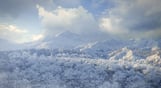 theHunter: Call of the Wild - Medved-Taiga