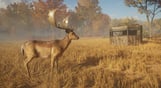 theHunter: Call of the Wild - Tents & Ground Blinds
