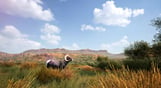 Hunting Simulator 2: Bear Hunter Edition