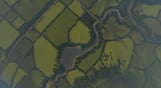 Cities: Skylines - Content Creator Pack: Map Pack