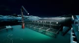 Fishing: Barents Sea - King Crab (Misc Games)