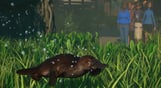 Planet Zoo: Wetlands Animal Pack