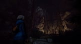 Through the Woods