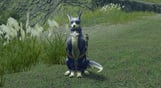 MONSTER HUNTER RISE Deluxe Kit