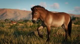 Planet Zoo: Conservation Pack