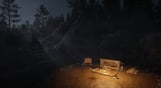 theHunter: Call of the Wild - Revontuli Coast