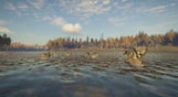 theHunter: Call of the Wild - Revontuli Coast