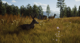 Way of the Hunter: Elite Edition