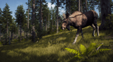 Way of the Hunter: Elite Edition