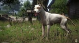 Kingdom Come Deliverance - A Woman's Lot