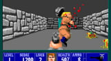 Wolfenstein 3D