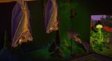 Planet Zoo: Twilight Pack