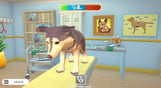 My Universe - Pet Clinic Cats & Dogs